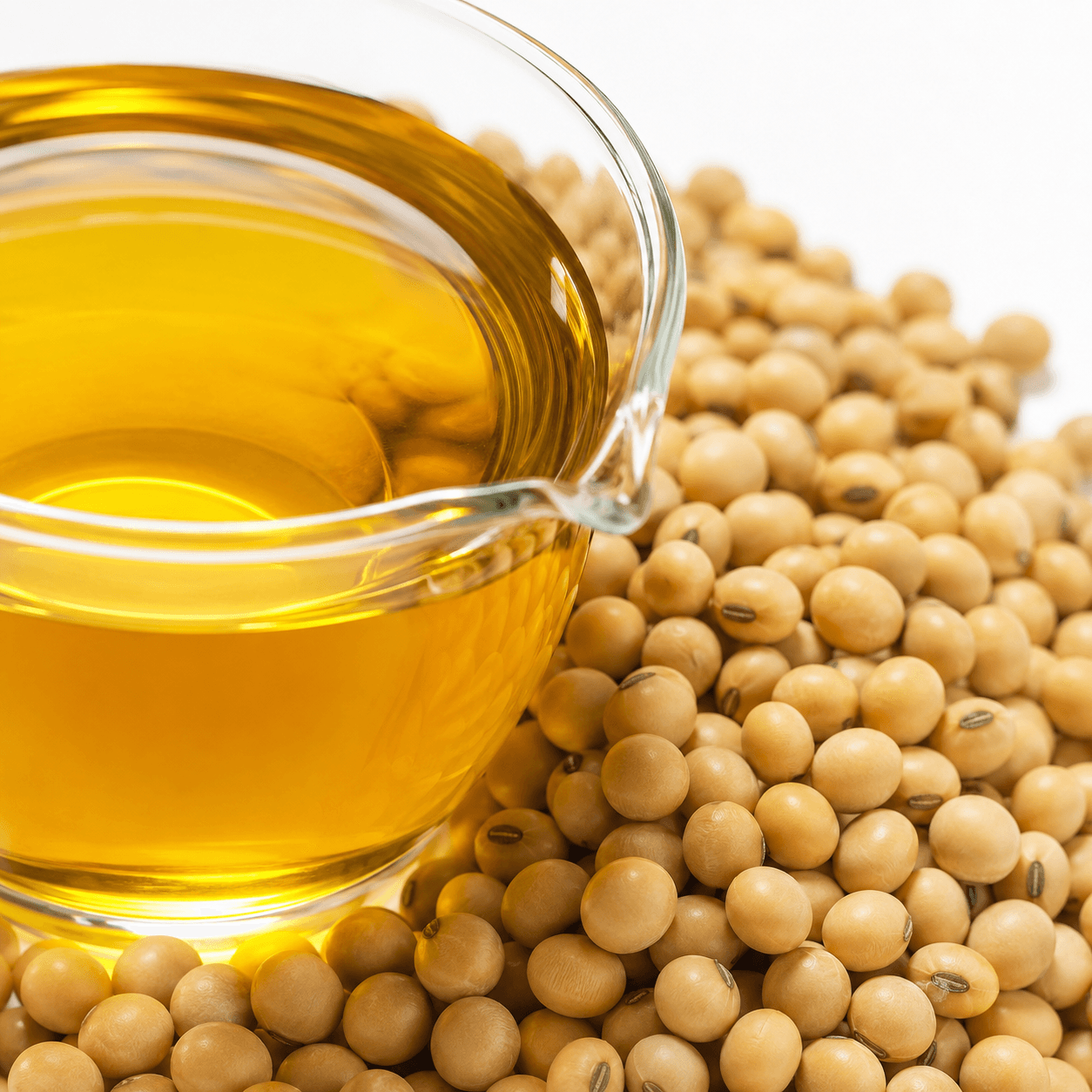 Crude Soybean Oil Manufacturer in Karnataka — Mechanical Extraction Process Explained